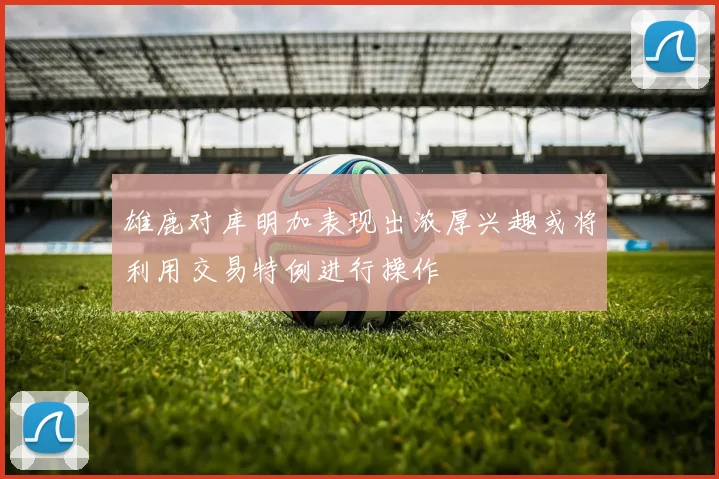 雄鹿对库明加表现出浓厚兴趣或将利用交易特例进行操作