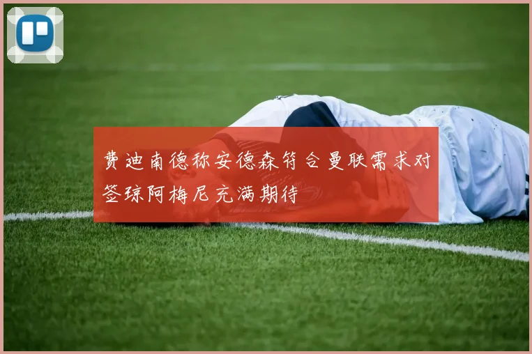 费迪南德称安德森符合曼联需求对签琼阿梅尼充满期待